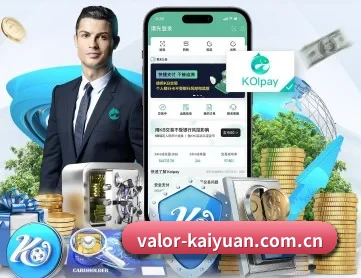 开元内容导航 APP 深度功能
