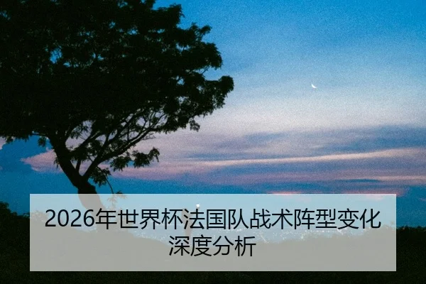 nian-shi-jie-bei-fa-guo-dui-zhan-shu-zhen-xing-bian-hua-shen-du-fen-xi-2-333.jpg
