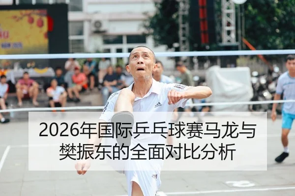 2026年国际乒乓球赛马龙与樊振东的全面对比分析