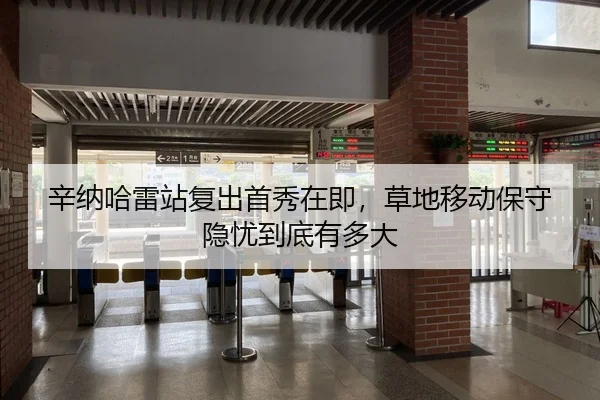 辛纳哈雷站复出首秀在即，草地移动保守隐忧到底有多大
