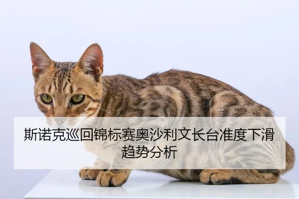斯诺克巡回锦标赛奥沙利文长台准度下滑趋势分析
